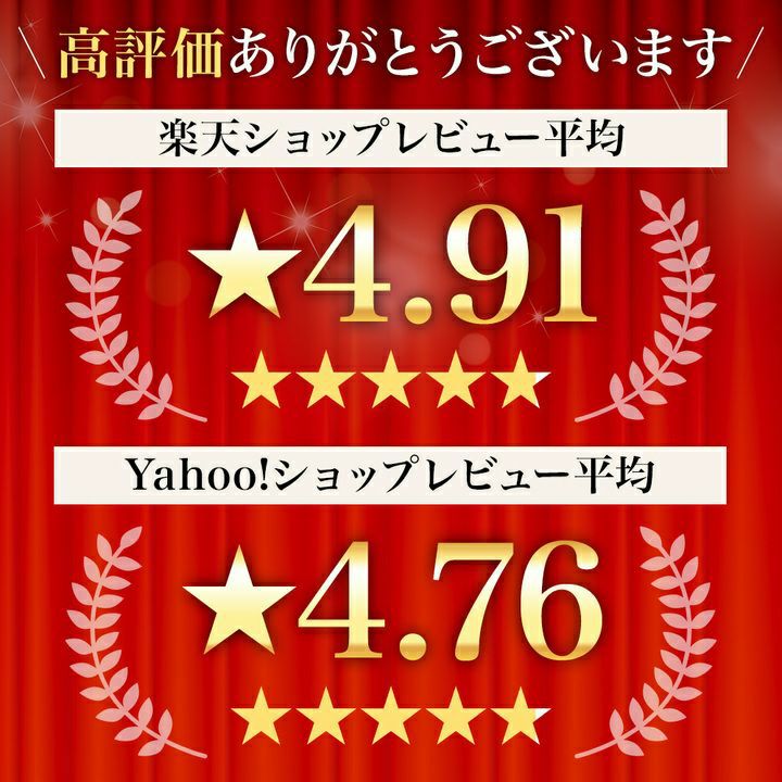 ≪送料無料≫米沢牛切り落とし  500g　【冷凍便】