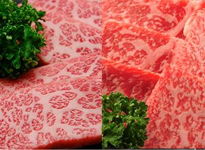 【敬老の日】【送料無料】【焼肉】米沢牛特上愛盛りセット